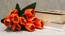 Cressida Artificial Flower (Orange) by Urban Ladder - Front View Design 1 - 453064