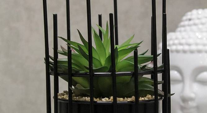 Demeter Artificial Bonsai with Pot (Green) by Urban Ladder - Front View Design 1 - 453071
