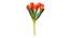 Cressida Artificial Flower (Orange) by Urban Ladder - Design 1 Side View - 453213