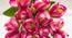 Eleanor Artificial Flower (Light Pink) by Urban Ladder - Design 1 Side View - 453263