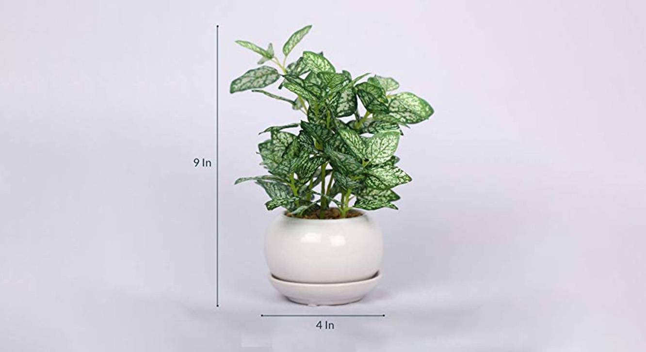 Dennis artificial bonsai white green 6