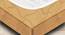 Usha Shriram Revitalize Cool Gel 5-Zone Hr 5 Inch Memory Foam Mattress L :72 (White, Single Mattress Type, 5 in Mattress Thickness (in Inches), 72 x 30 in Mattress Size) by Urban Ladder - Cross View Design 1 - 453916