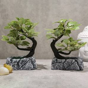Imana artificial bonsai multi lp