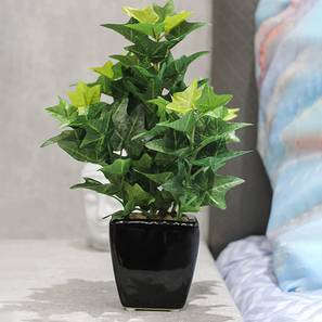 Joshua artificial bonsai green lp