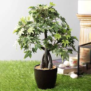Justin artificial bonsai green lp