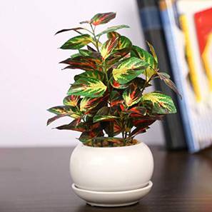 Frank artificial bonsai green lp