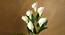 Fionn Artificial Flower (White) by Urban Ladder - Front View Design 1 - 454114