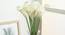 Ferdia Artificial Flower (White) by Urban Ladder - Front View Design 1 - 454123