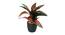 Kevin Artificial Bonsai with Pot (Red & Green) by Urban Ladder - Front View Design 1 - 454158
