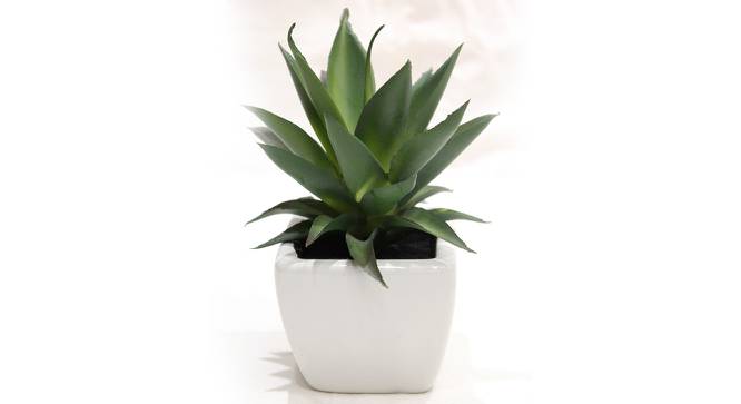 Kinsley Artificial Plant with Pot (Green) by Urban Ladder - Front View Design 1 - 454164