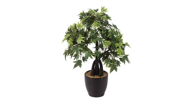 Justin Artificial Bonsai with Pot (Green) by Urban Ladder - Front View Design 1 - 454167