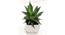 Kinsley Artificial Plant with Pot (Green) by Urban Ladder - Cross View Design 1 - 454236