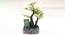Irevene Artificial Bonsai with Pot (Multicolor) by Urban Ladder - Design 1 Side View - 454257