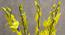 John Artificial Flower (Yellow) by Urban Ladder - Design 1 Side View - 454267