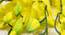 John Artificial Flower (Yellow) by Urban Ladder - Rear View Design 1 - 454331