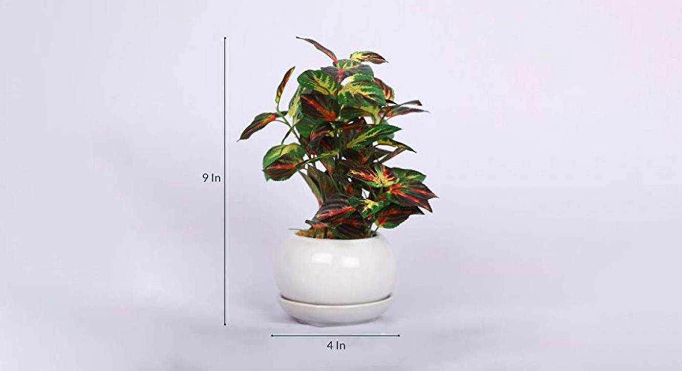 Frank artificial bonsai green 6