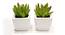 Lucy Artificial Plant with Pot (Dark Green) by Urban Ladder - Front View Design 1 - 455347