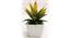 Larry Artificial Plant with Pot (Yellow) by Urban Ladder - Front View Design 1 - 455355