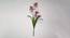 Naoise Artificial Flower (Light Pink) by Urban Ladder - Cross View Design 1 - 455385