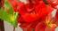 Mira Artificial Flower (Red) by Urban Ladder - Cross View Design 1 - 455391