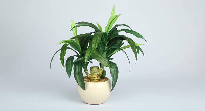 Leah Artificial Bonsai with Pot (Green) by Urban Ladder - Cross View Design 1 - 455411