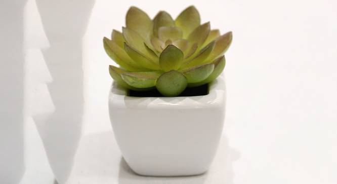 Nicholas Artificial Plant with Pot (Green) by Urban Ladder - Cross View Design 1 - 455425
