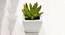 Lucy Artificial Plant with Pot (Dark Green) by Urban Ladder - Design 1 Side View - 455484