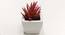Nick Artificial Plant with Pot (Purple) by Urban Ladder - Design 1 Side View - 455490