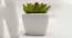 Nicholas Artificial Plant with Pot (Green) by Urban Ladder - Design 1 Side View - 455492