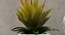 Larry Artificial Plant with Pot (Yellow) by Urban Ladder - Rear View Design 1 - 455535