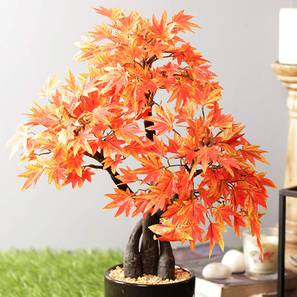 Scott artificial bonsai orange lp