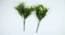Orion Artificial Plant (Green) by Urban Ladder - Front View Design 1 - 456267