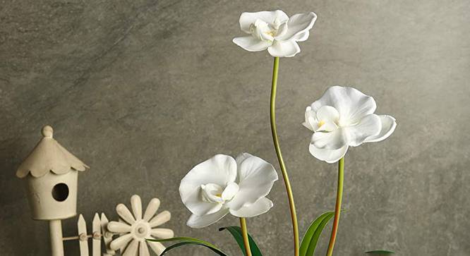 Oisin Artificial Flower (White) by Urban Ladder - Front View Design 1 - 456279