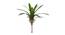 Penelope Artificial Plant (Green) by Urban Ladder - Front View Design 1 - 456303
