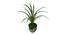 Savannah Artificial Plant (Green) by Urban Ladder - Front View Design 1 - 456326