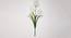 Oisin Artificial Flower (White) by Urban Ladder - Cross View Design 1 - 456356