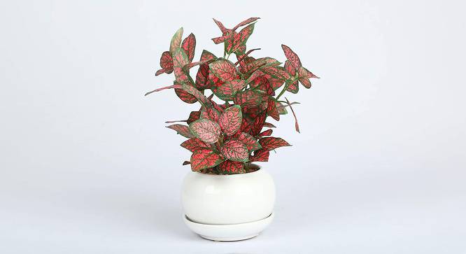 Patrick Artificial Bonsai with Pot (Red) by Urban Ladder - Cross View Design 1 - 456404
