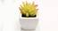 Ryab Artificial Plant with Pot (Red) by Urban Ladder - Design 1 Side View - 456459