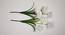 Oisin Artificial Flower (White) by Urban Ladder - Rear View Design 1 - 456493