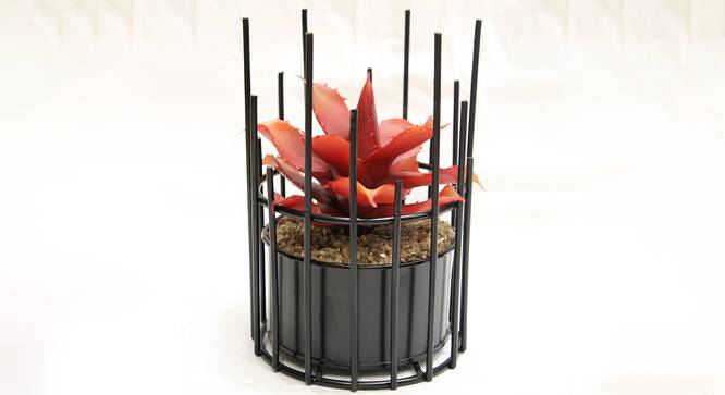 Sienna Artificial Bonsai with Pot (Red) by Urban Ladder - Front View Design 1 - 457917