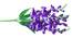 Sophie Artificial Flower (Dark-Purple) by Urban Ladder - Front View Design 1 - 457927