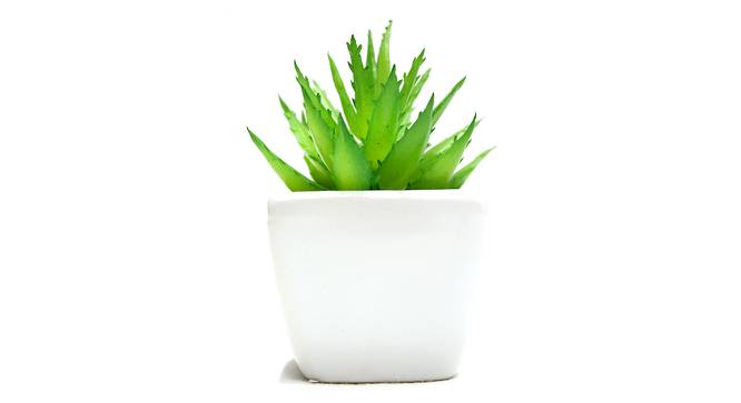 Eliana Artificial Plant with Pot (Green) by Urban Ladder - Side View Design 1 - 