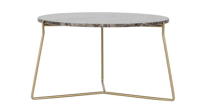 Coret Coffee Table (Golden, Golden Finish) by Urban Ladder - Front View Design 1 - 464508