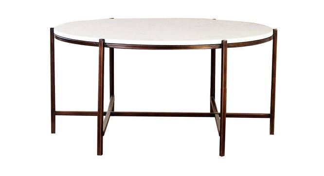 Geonna Coffee Table (Bronze Finish, Bronze) by Urban Ladder - Front View Design 1 - 464509