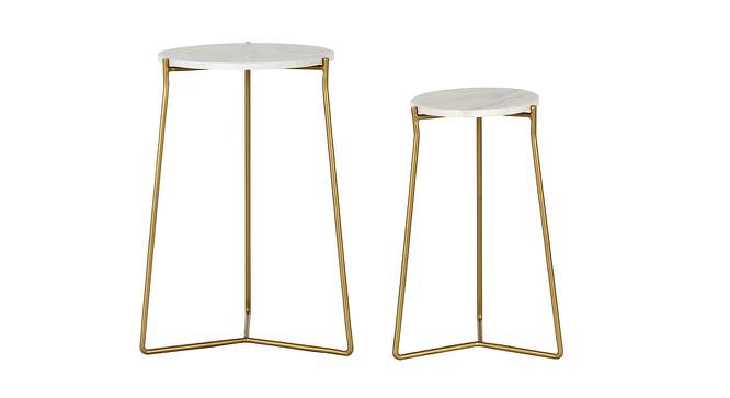 Barstow Nesting Side Table - Set of 2 (Golden, Golden Finish) by Urban Ladder - Cross View Design 1 - 464517