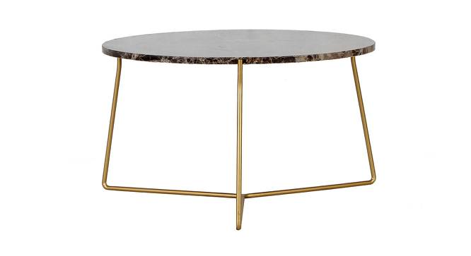 Coret Coffee Table (Golden, Golden Finish) by Urban Ladder - Cross View Design 1 - 464523