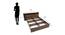 Matera  Storage Bed (King Bed Size, Classic Walnut) by Urban Ladder - Design 1 Dimension - 465643