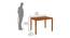 Ollie 4 Seater Dining Set (Brown, Matte Finish) by Urban Ladder - Design 1 Dimension - 465825