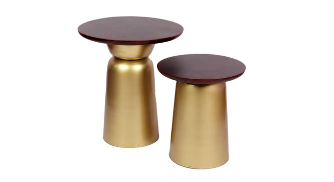 Etoile Side Table - Set of 2 (Gold, Antique Brass Finish) by Urban Ladder - Cross View Design 1 - 465892