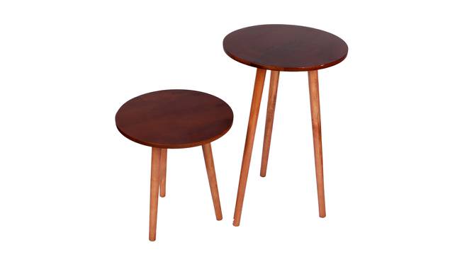 Axton Side Table - Set of 2 (Matte Walnut, Matte Walnut Finish) by Urban Ladder - Front View Design 1 - 465908